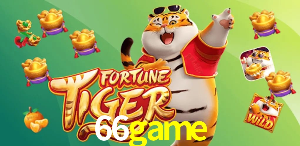 Statistics 66game